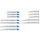 BOSCH Set de 12 pânze de fierăstrău PRO Demolition