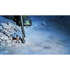 BOSCH Set de dălți ascuțite PRO SDS max-5C 400 mm