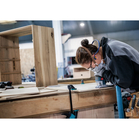 BOSCH Pânză pentru ferăstrău vertical T 101 AOF