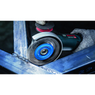 BOSCH Perie-disc