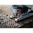 BOSCH Pânză de ferăstrău vertical T 1013 AWP