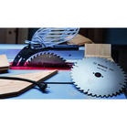 BOSCH PRO Wood Circular Saw Blade, 254 x 2.8 x 30 mm, T24