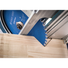 BOSCH Pânză de ferăstrău circular Expert for Wood