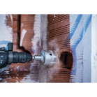 BOSCH Carotă SDS-plus-9 30 mm