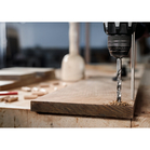 BOSCH Burghiu cu vârf de centrare PRO Wood HSS, 10 x 87 x 133 mm