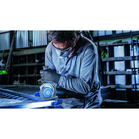 BOSCH Perie-disc