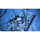 BOSCH Set de dălți ascuțite PRO SDS plus-5C 250 mm