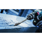 BOSCH Daltă pentru canale PRO SDS plus Hollow Gouging, 22 x 250 mm