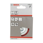 BOSCH Perie-disc