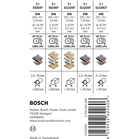 BOSCH Set de 12 pânze de fierăstrău PRO Demolition