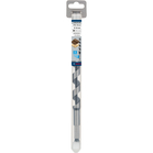 BOSCH Burghiu lemn hexagonal