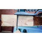 BOSCH Pânză pentru ferăstrău vertical T 344 DP