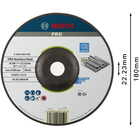 BOSCH Set 10 discuri de șlefuire, Expert for Inox