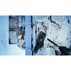 BOSCH Daltă lată PRO SDS plus-5C, 40 x 250 mm
