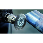 BOSCH Perie-disc