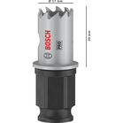 BOSCH Carotă PRO Sheet Metal PC Plus, 17 mm