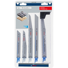 BOSCH Set de 6 pânze de fierăstrău PRO Demolition