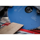 BOSCH Pânză de fierăstrău circular EXPERT Wood cordless, 254 x 2,1/1,6 x 30 mm, T48