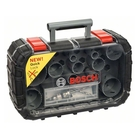 BOSCH Set din 17 piese pentru ferăstraie coadă-de-şoarece, HSS-bimetal Universal