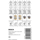 BOSCH Set de 6 pânze de fierăstrău PRO Demolition