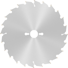 BOSCH PRO Wood Circular Saw Blade, 254 x 2.8 x 30 mm, T24