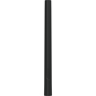 BOSCH Țeavă de prelungire din plastic pentru aspirator
