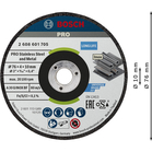 BOSCH Set 2 discuri de șlefuire , Expert for Inox
