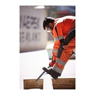 BOSCH Pânză de ferăstrău sabie S 955 CHM