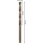 BOSCH Set 10 burghie metal HSS-Co