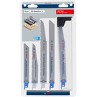BOSCH Set de 12 pânze de fierăstrău PRO Demolition