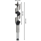 BOSCH Burghiu lemn hexagonal