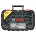 BOSCH Set din 11 piese pentru ferăstraie coadă-de-şoarece, lucrări electrice HSS-bimetal