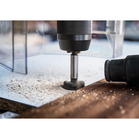 BOSCH EXPERT Laminated Wood burghiu balamale