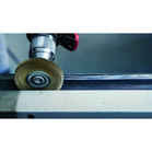 BOSCH Perie-disc