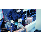 BOSCH Set 10 discuri de șlefuire cu degajare, Expert for Metal