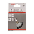 BOSCH Perie-disc