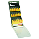 BOSCH Set 16 capete de şurubelniţă