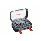 BOSCH Set din 11 piese pentru ferăstraie coadă-de-şoarece, lucrări electrice HSS-bimetal