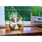 BOSCH Pânză de ferăstrău circular PRECISION