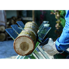 BOSCH Set 2 Panze HCS S1542K Top for Wood