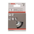 BOSCH Perie-disc