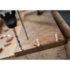 BOSCH Burghiu cu vârf de centrare PRO Wood HSS, 6 x 49 x 105 mm
