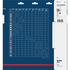 BOSCH Pânză de fierăstrău circular EXPERT Wood, 300 x 3,2/2,2 x 30 mm, T60