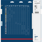 BOSCH Pânză de fierăstrău circular EXPERT Wood cordless, 305 x 2,2/1,6 x 30 mm, T60